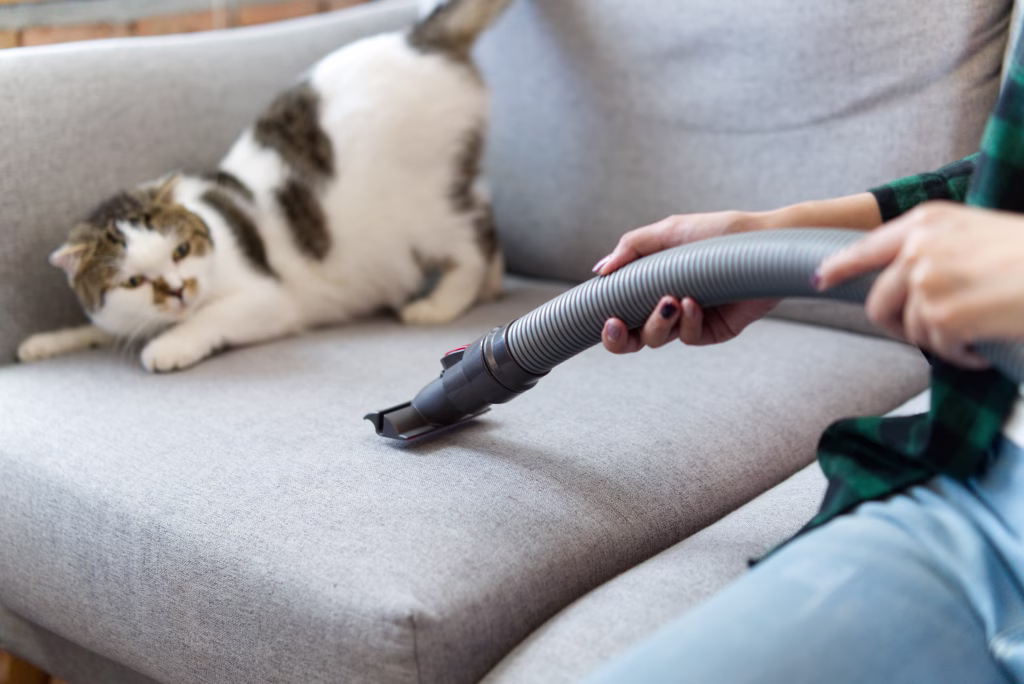 Happy cleaning concept.