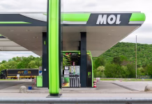 Tako bo s cenami goriv do vključno 8. septembra … Kozina, Slovenia- 25.04.2025- Modern MOL gas station with fuel pumps on highway and forest background