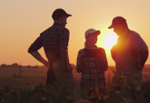 Nova Skupna kmetijska politika bo pravičnejša: »Brez kmetov hrane ne bo!« A group of farmers are discussing in the field, using a tablet. Two men and one woman. Team work in agribusiness.