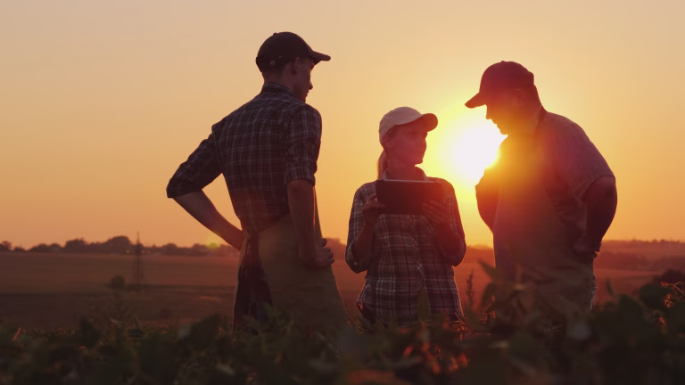 A group of farmers are discussing in the field, using a tablet. Two men and one woman. Team work in agribusiness.