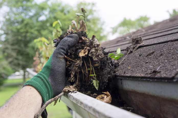 Cleaning gutters during the summer time.