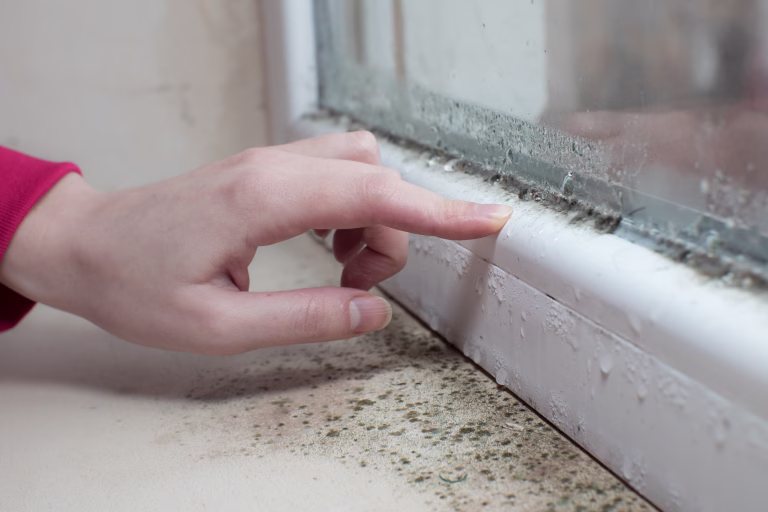 Black mold fungus growing on windowsill. Dampness problem concept. Condensation on the window.