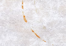 Znebite se rjastih madežev pločevink v kopalnici z enim preprostim trikom Dirty tile floor texture background. Stain on the floor. Rough and grunge surface.