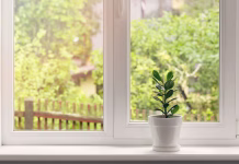 Koliko stanejo okenske police iz kamna? Med najcenejšimi največje trgovine … crassula flower in white pot on windowsill