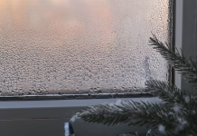 Tako se izogniti zamegljenim oknom: vse, kar potrebujete, že imate v kuhinji … condensation on the window in winter. concept