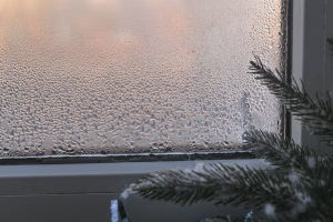 Tako se izogniti zamegljenim oknom: vse, kar potrebujete, že imate v kuhinji …