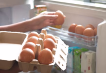 Zakaj jajc ne bi smeli hraniti v hladilniku? Razlog, ki ga je razkril kuhar, je pretresel splet … Hand Pick chicken egg from egg carton box into refrigerator, eggs on shelf of cold storage