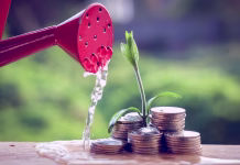 Več kot tri milijone evrov za podporo start-up podjetjem Money and plant with hand with filter effect retro vintage style