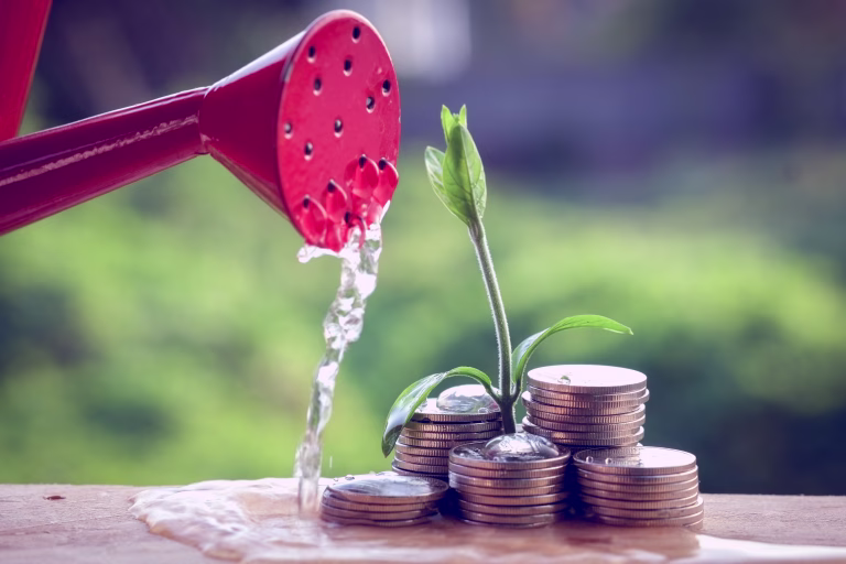 Money and plant with hand with filter effect retro vintage style