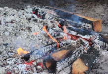 Pepela iz štedilnika nikar ne zavrzite: to je brezplačna rešitev za 6 težav v vašem domu The burned-down campfire