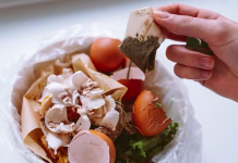 Niso vsi gospodinjski odpadki takoj za v smeti Filled with food biological waste, egg shells, cleanings, trash can. concept of garbage sorting, recycling, household chores, environmental issues, composting