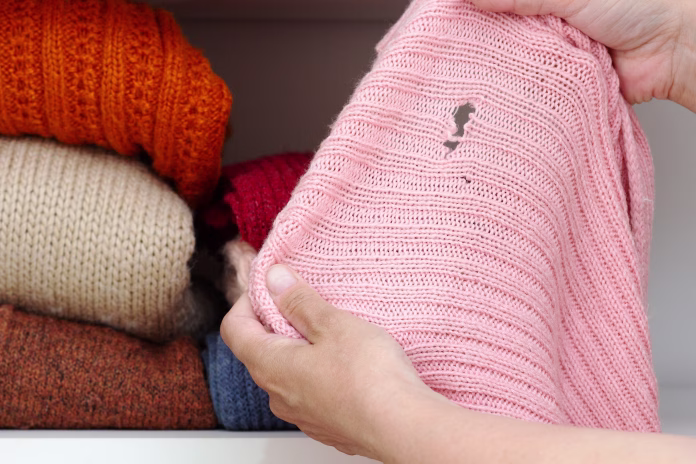 cropped-woman-hands-holding-woolen-knitted-cloth-with-hole-made-by-moth-over-wardrobe-with-stacks-cloth-on-shelf-stockpack-istock Cropped woman hands holding woolen knitted cloth with hole made by moth over wardrobe with stacks cloth on shelf