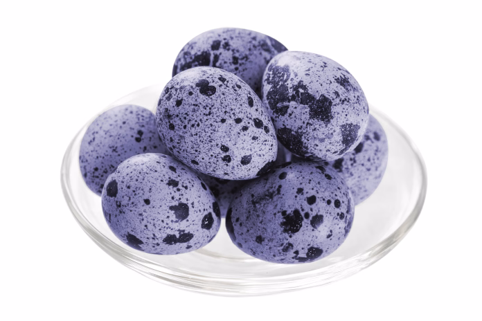 Lavender-blue speckled quail eggs in a clear glass bowl on white background elegant Easter decoration symbolizing renewal and spring celebration. Minimalist, modern holiday styling for religious and festive traditions.