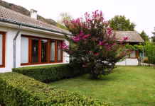 Baba Vanga je trdila, da bi morala imeti vsaka hiša tri vrste cvetja: privabljajo srečo in blagostanje. Rupite, Bulgaria - September, 29, 2021: house-museum of the Bulgarian clairvoyant Vanga