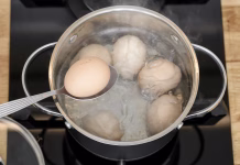 Ali obstaja razlika med rjavimi in belimi jajci? Razkrito, katera so bolj zdrava in okusnejša Soft-boiled eggs are cooked in bubbling water