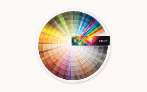 JUB predstavlja novo barvno karto Home of Colours
