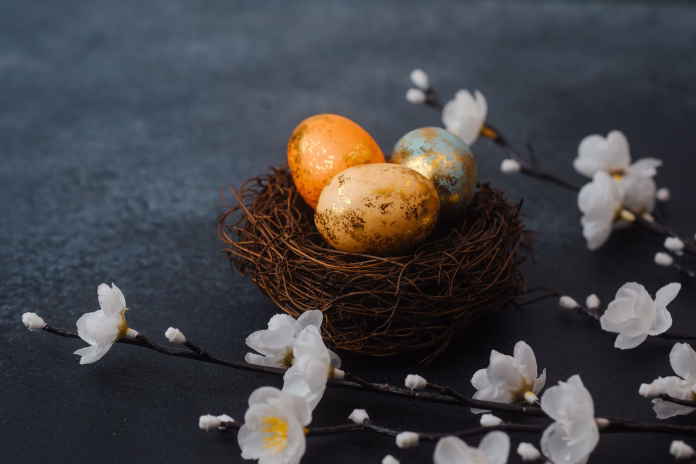Colorful speckled eggs in a nest, elegantly complemented by delicate white spring blossoms for Easter.