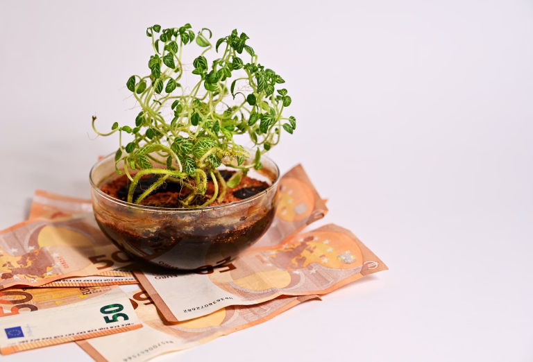 Plant Growing with Money Representing Financial Growth, Investment and Wealth Concept
