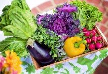 Dobri in slabi sosedje: katero zelenjavo smemo saditi drugo ob drugi vegetables, garden, harvest, organic, gardening, lettuce, nature, nutrition, produce, fresh, fresh vegetables, assorted, garden vegetables, healthy