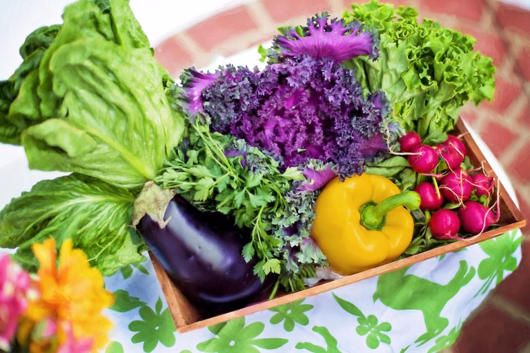vegetables, garden, harvest, organic, gardening, lettuce, nature, nutrition, produce, fresh, fresh vegetables, assorted, garden vegetables, healthy