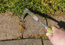 Znebite se plevela v hipu: domača mešanica, ki jo imajo vsi v kuhinji, dela čudeže Using a patio knife to remove weeds from cracks in paving on a patio.