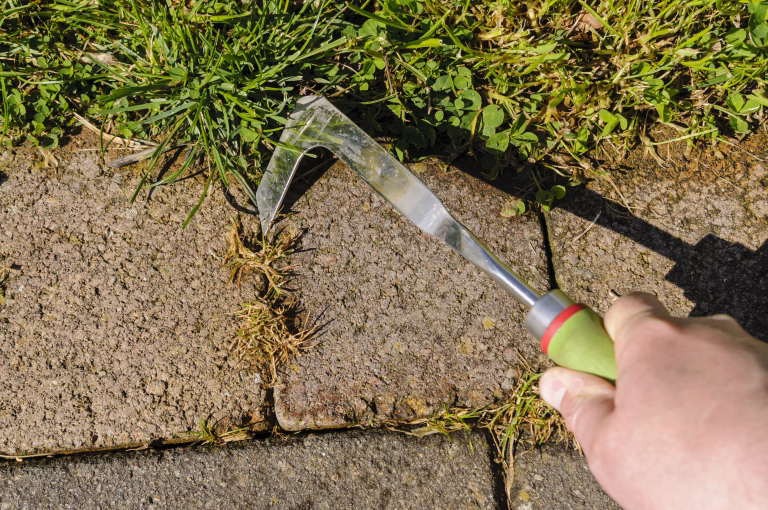 Using a patio knife to remove weeds from cracks in paving on a patio.