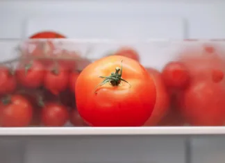 Vsi mečemo denar stran za »lažni« paradižnik: starinski trik v petih sekundah razkrije, kateri je pravi in kateri »plastika« Closeup shot of tomatoes in cold storage. Fresh produce in modern kitchen.
