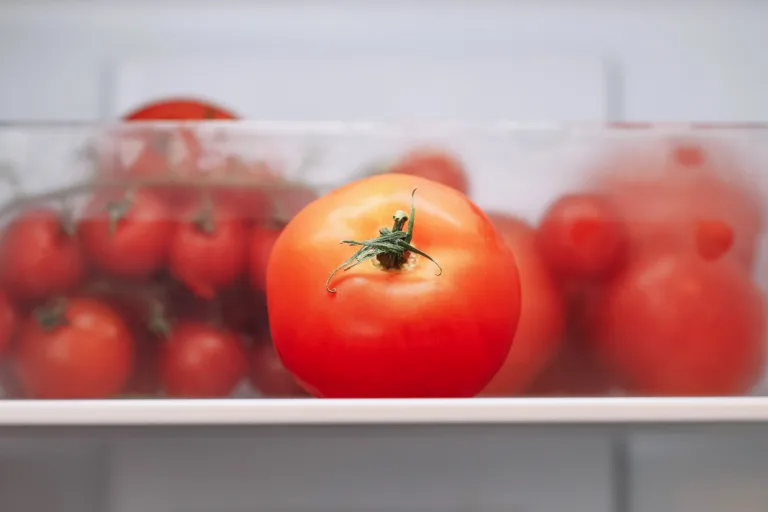 Closeup shot of tomatoes in cold storage. Fresh produce in modern kitchen.