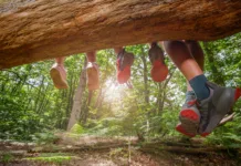 Poletne počitnice 2026: otroci bodo doma 46 delovnih dni, starše pa lahko varstvo stane tudi več kot 3.000 evrov Four pairs of legs dangle from a log, their colorful shoes contrasting with the lush green forest backdrop as sunlight filters through the trees