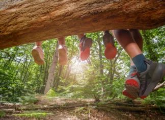 Poletne počitnice 2026: otroci bodo doma 46 delovnih dni, starše pa lahko varstvo stane tudi več kot 3.000 evrov Four pairs of legs dangle from a log, their colorful shoes contrasting with the lush green forest backdrop as sunlight filters through the trees