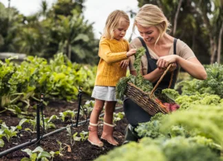 Se domači vrt še splača? Toliko prihranka je pokazal izračun … Smiling young mother gathering fresh kale with her daughter. Happy single mother picking fresh vegetables from an organic garden. Self-sustainable family harvesting fresh produce on their farm.
