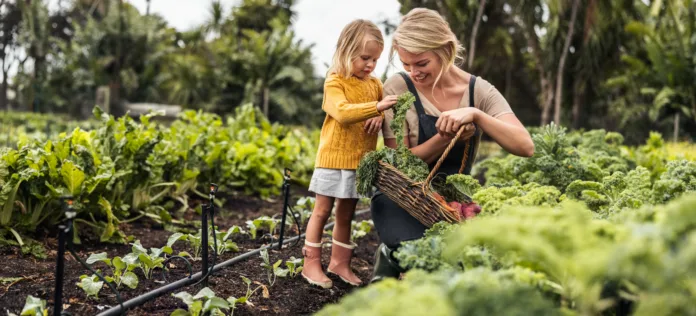 smiling-young-mother-gathering-fresh-kale-with-her-daughter-happy-single-mother-picking-fresh-vegetables-from-an-organic-garden-self-sustainable-family-harvesting-fresh-produce-on-their-farm-stockpack-istock Smiling young mother gathering fresh kale with her daughter. Happy single mother picking fresh vegetables from an organic garden. Self-sustainable family harvesting fresh produce on their farm.
