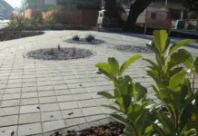Prednosti betonskih tlakovcev: trajna in estetska rešitev z linijo Basic tlakovec