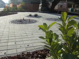 Prednosti betonskih tlakovcev: trajna in estetska rešitev z linijo Basic tlakovec
