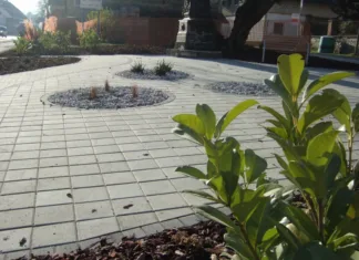 Prednosti betonskih tlakovcev: trajna in estetska rešitev z linijo Basic tlakovec