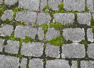Odpravite zeleno vegetacijo in mah na vaših betonskih površinah abstract textured background of cobblestone brick stone path