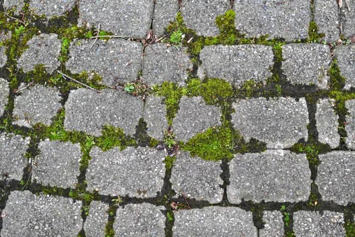 abstract-textured-background-of-cobblestone-brick-stone-path-stockpack-istock abstract textured background of cobblestone brick stone path