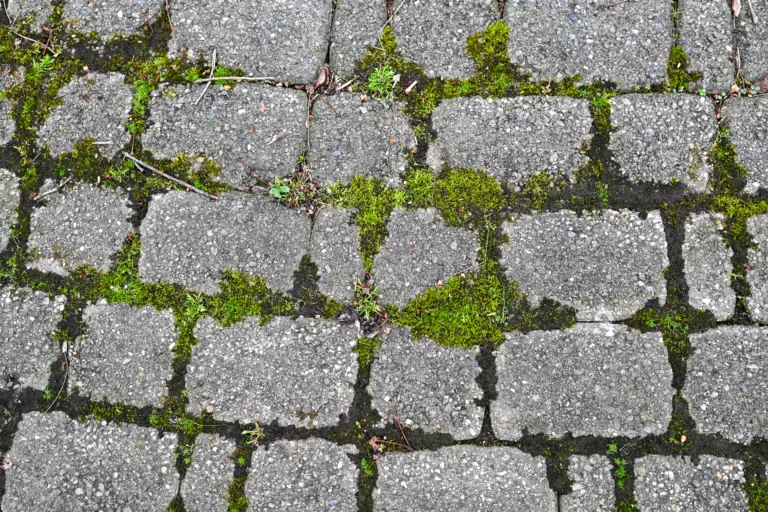 abstract textured background of cobblestone brick stone path