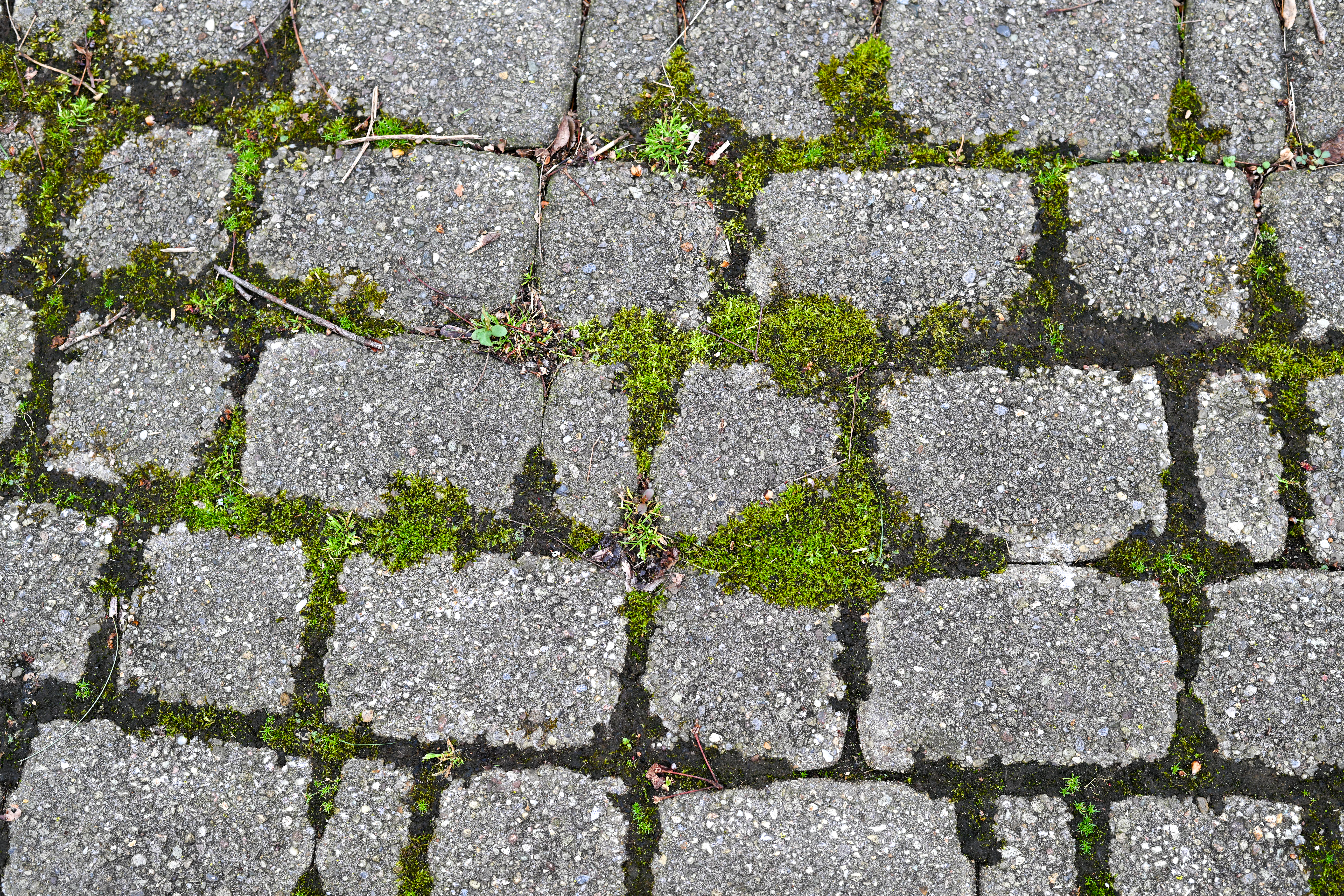 Odpravite zeleno vegetacijo in mah na vaših betonskih površinah abstract textured background of cobblestone brick stone path