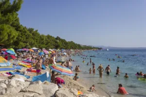 Pozor, kupijo jo za nekaj centov, nato pa prodajo za pet evrov! Na hrvaških plažah cveti »posel stoletja«
