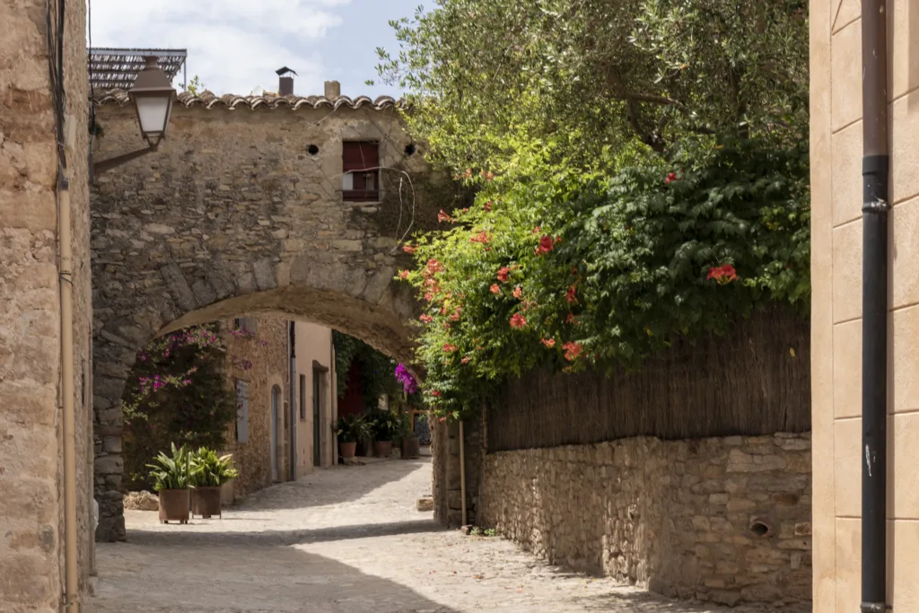 Cobblestone street winding through a medieval village, showcasing traditional stone architecture and vibrant flowers