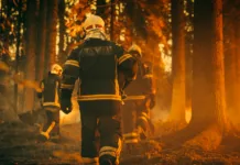 Po vsej Sloveniji velja stroga prepoved, že ena napaka pa vas lahko drago stane … Establishing Shot: Team of Firefighters in Safety Uniform and Helmets Extinguishing a Wildland Fire, Moving Along a Smoked Out Forest to Battle Dangerous Ecological Emergency. Cinematic Footage.