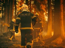 Establishing Shot: Team of Firefighters in Safety Uniform and Helmets Extinguishing a Wildland Fire, Moving Along a Smoked Out Forest to Battle Dangerous Ecological Emergency. Cinematic Footage.