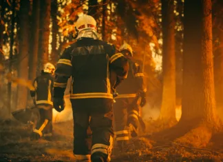 Po vsej Sloveniji velja stroga prepoved, že ena napaka pa vas lahko drago stane … Establishing Shot: Team of Firefighters in Safety Uniform and Helmets Extinguishing a Wildland Fire, Moving Along a Smoked Out Forest to Battle Dangerous Ecological Emergency. Cinematic Footage.