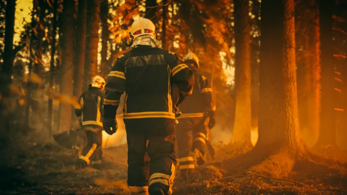 establishing-shot-team-of-firefighters-in-safety-uniform-and-helmets-extinguishing-a-wildland-fire-moving-along-a-smoked-out-forest-to-battle-dangerous-ecological-emergency-cinematic-footage-stockpack-istock Establishing Shot: Team of Firefighters in Safety Uniform and Helmets Extinguishing a Wildland Fire, Moving Along a Smoked Out Forest to Battle Dangerous Ecological Emergency. Cinematic Footage.
