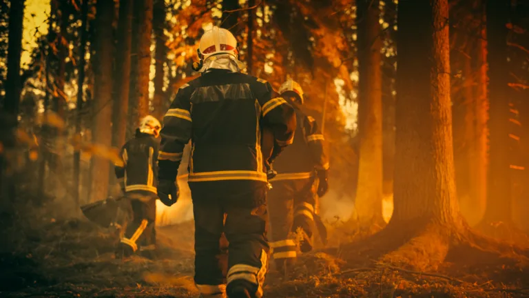 Establishing Shot: Team of Firefighters in Safety Uniform and Helmets Extinguishing a Wildland Fire, Moving Along a Smoked Out Forest to Battle Dangerous Ecological Emergency. Cinematic Footage.