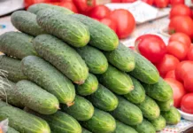 Želite več paradižnikov in kumar? Ta naravna raztopina bi lahko naredila veliko razliko Fresh cucumbers piled at farmers market