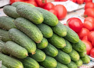 Želite več paradižnikov in kumar? Ta naravna raztopina bi lahko naredila veliko razliko Fresh cucumbers piled at farmers market
