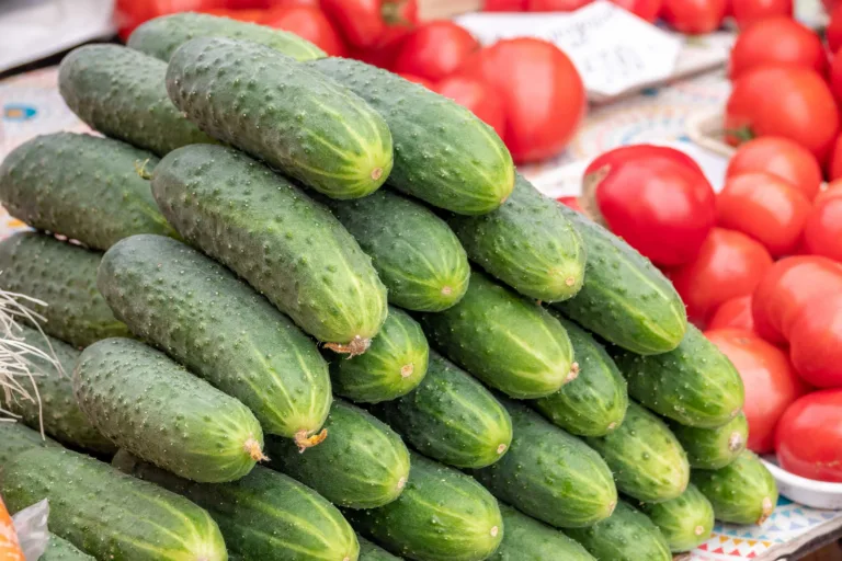 Fresh cucumbers piled at farmers market