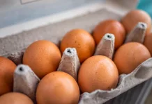 Pokvarjena jajca sploh niso nujno videti sumljiva: to je 6 načinov, kako preveriti njihovo svežino Closeup macro of pasture raised farm fresh dozen brown eggs store bought from farmer in carton box container with speckled eggshells texture
